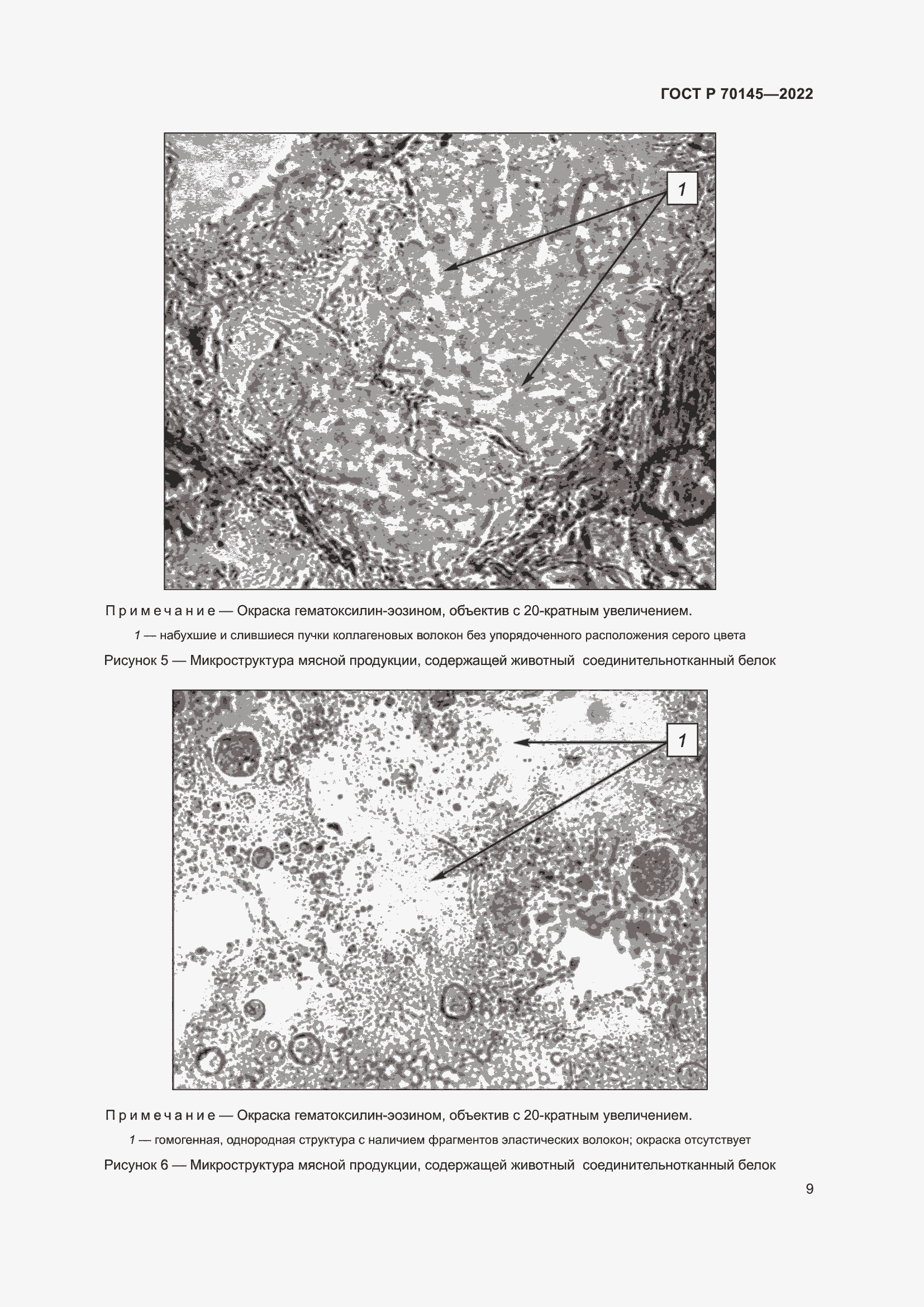 Страница 15 ГОСТ Р 70145-2022