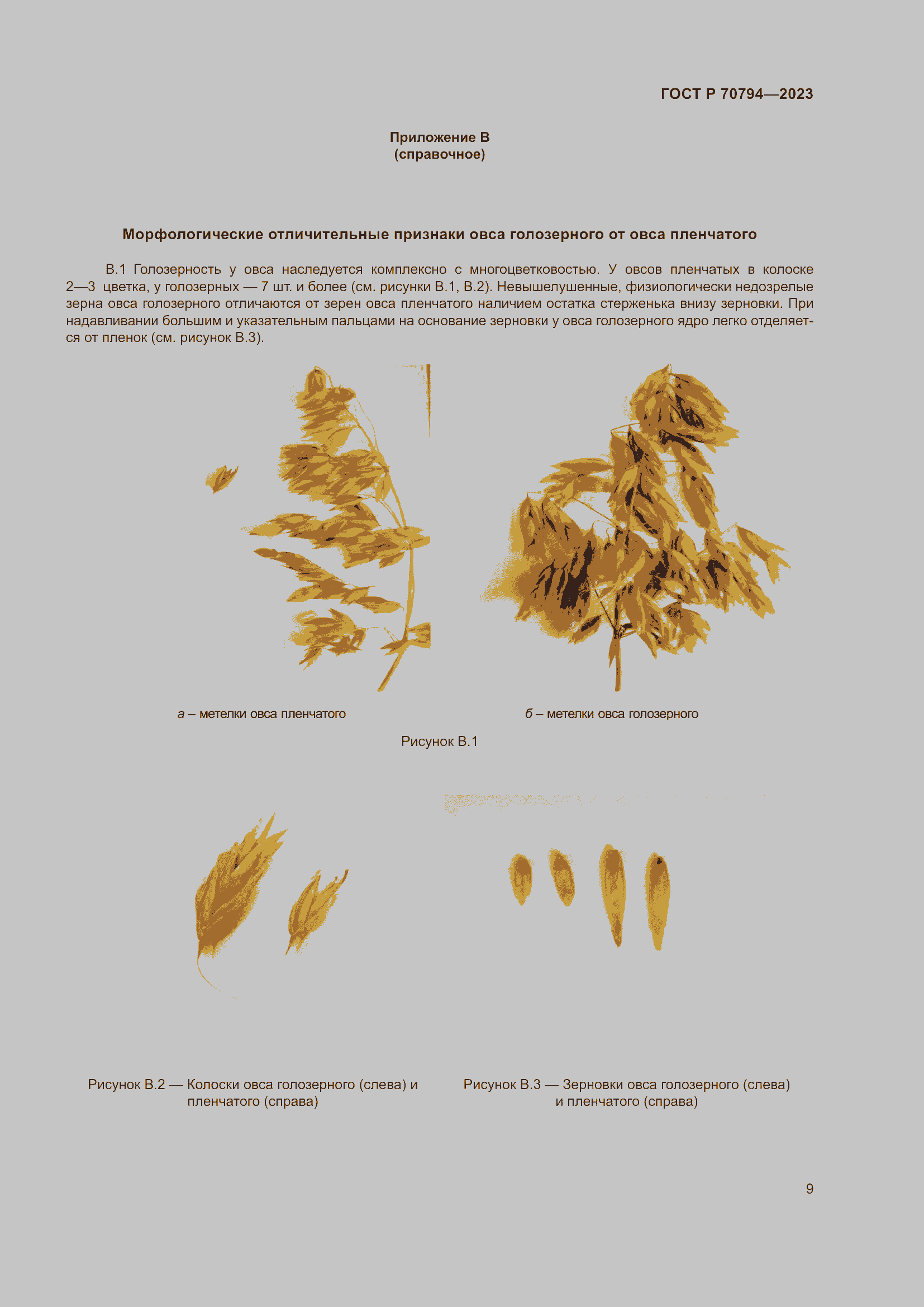 Страница 13 ГОСТ Р 70794-2023