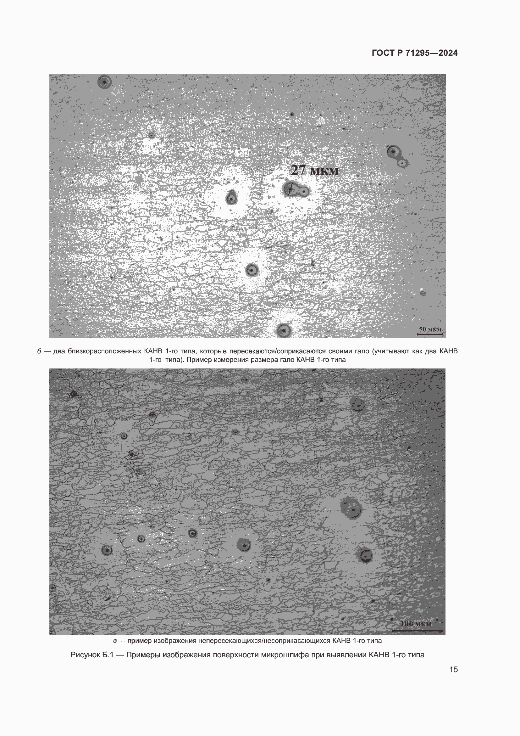 Страница 19 ГОСТ Р 71295-2024