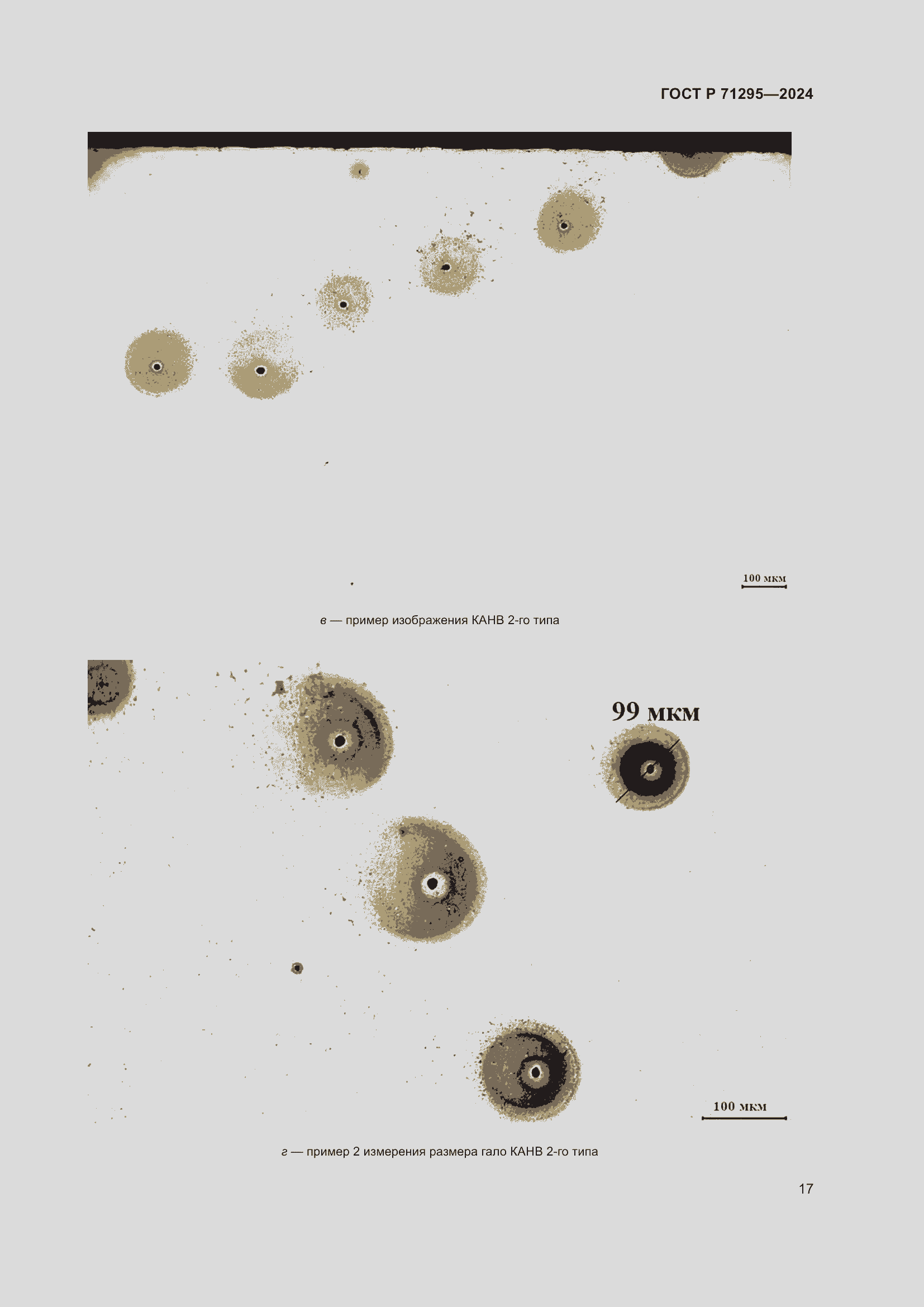Страница 21 ГОСТ Р 71295-2024