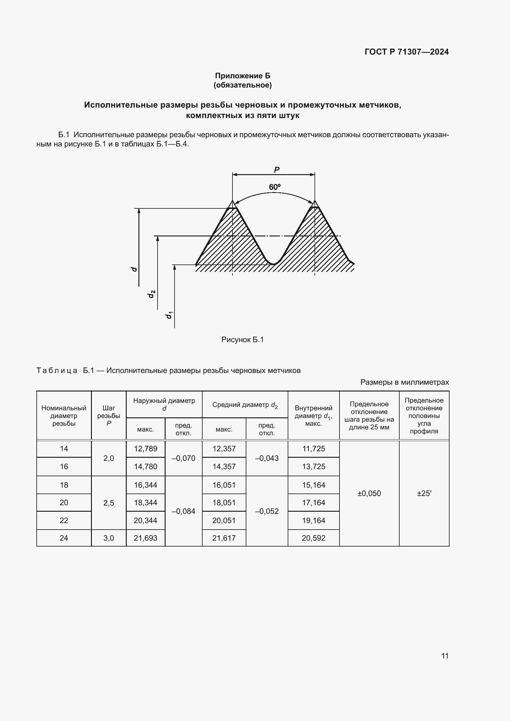 Страница 13 ГОСТ Р 71307-2024