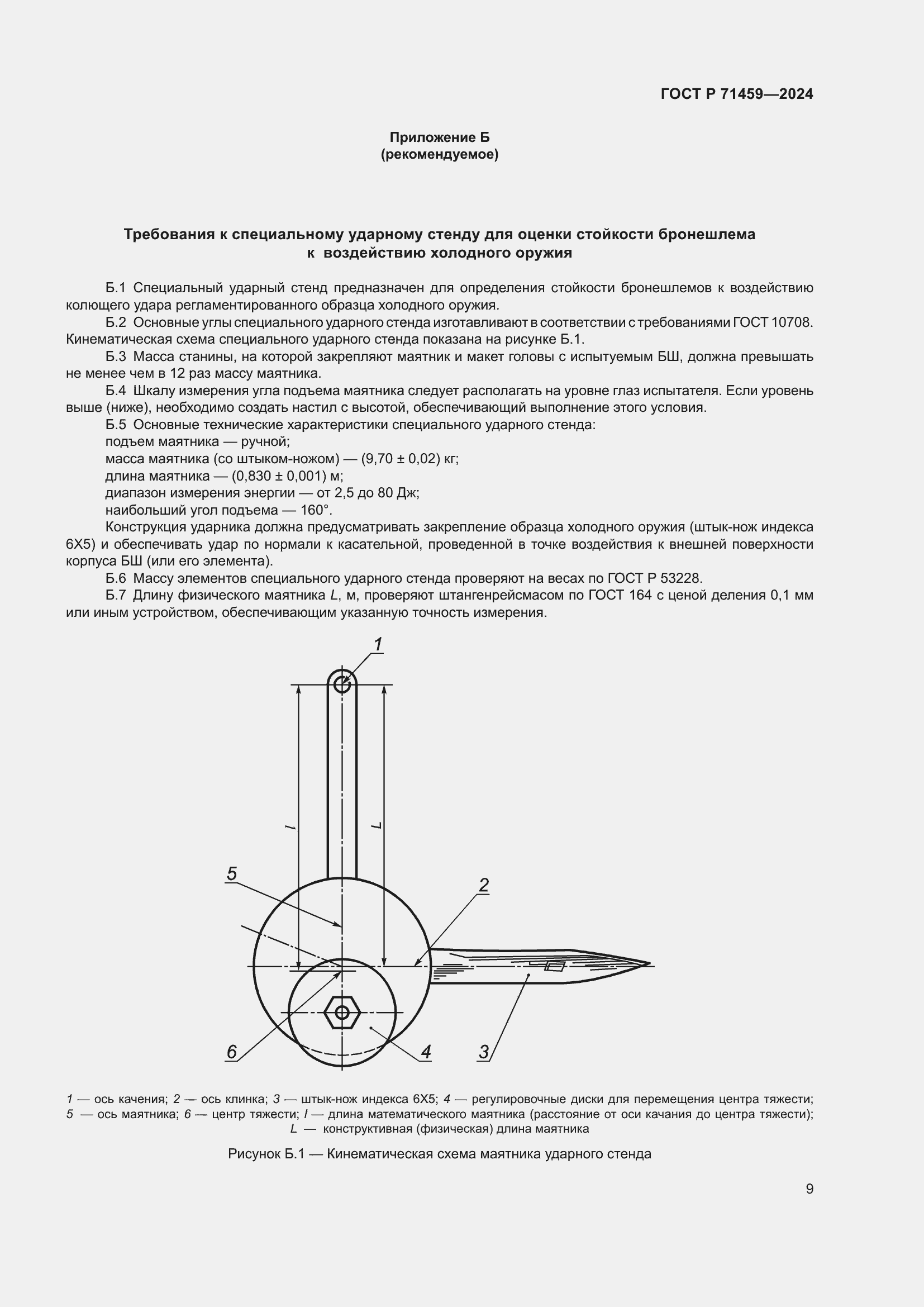 Страница 13 ГОСТ Р 71459-2024
