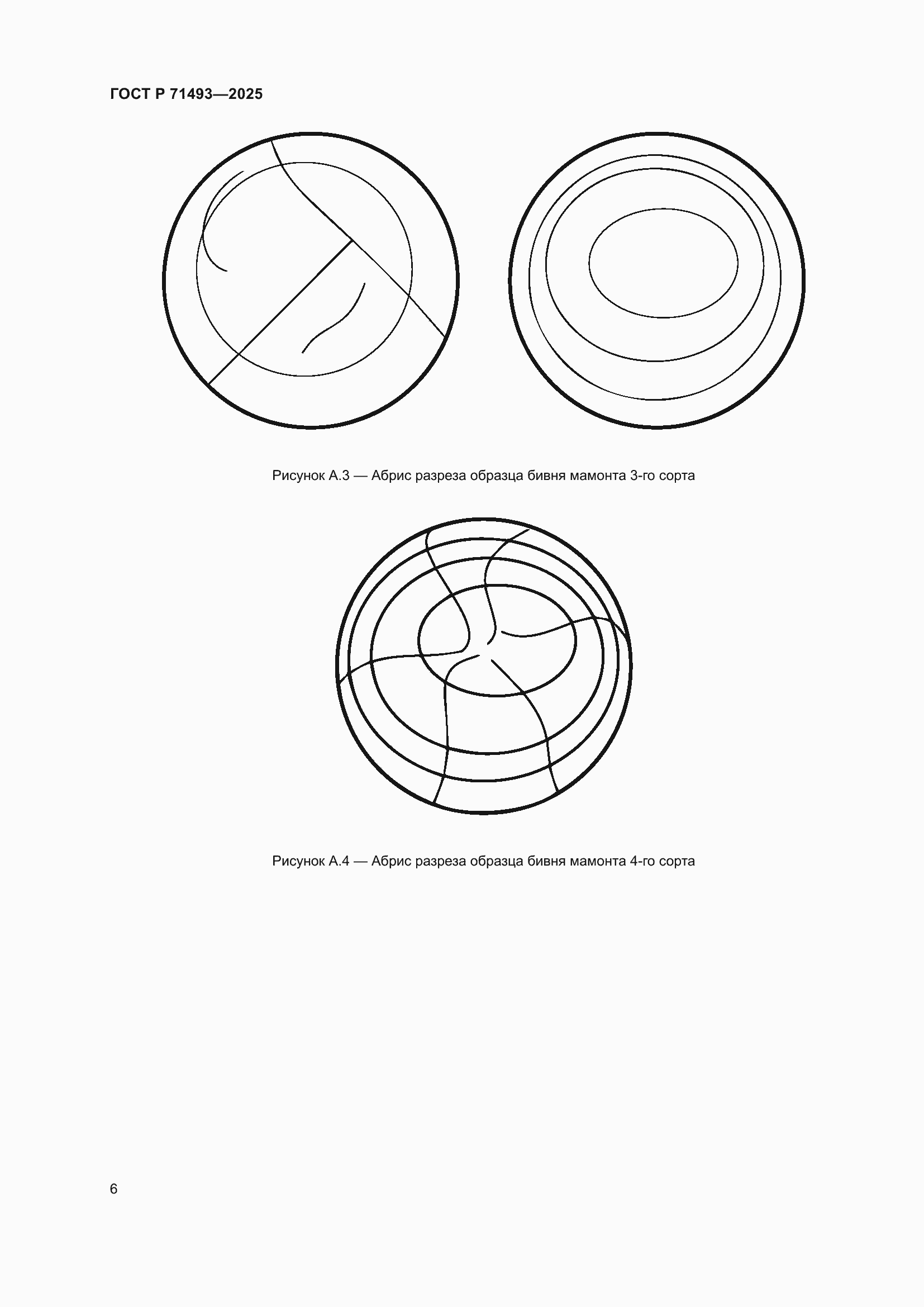 Страница 10 ГОСТ Р 71493-2025