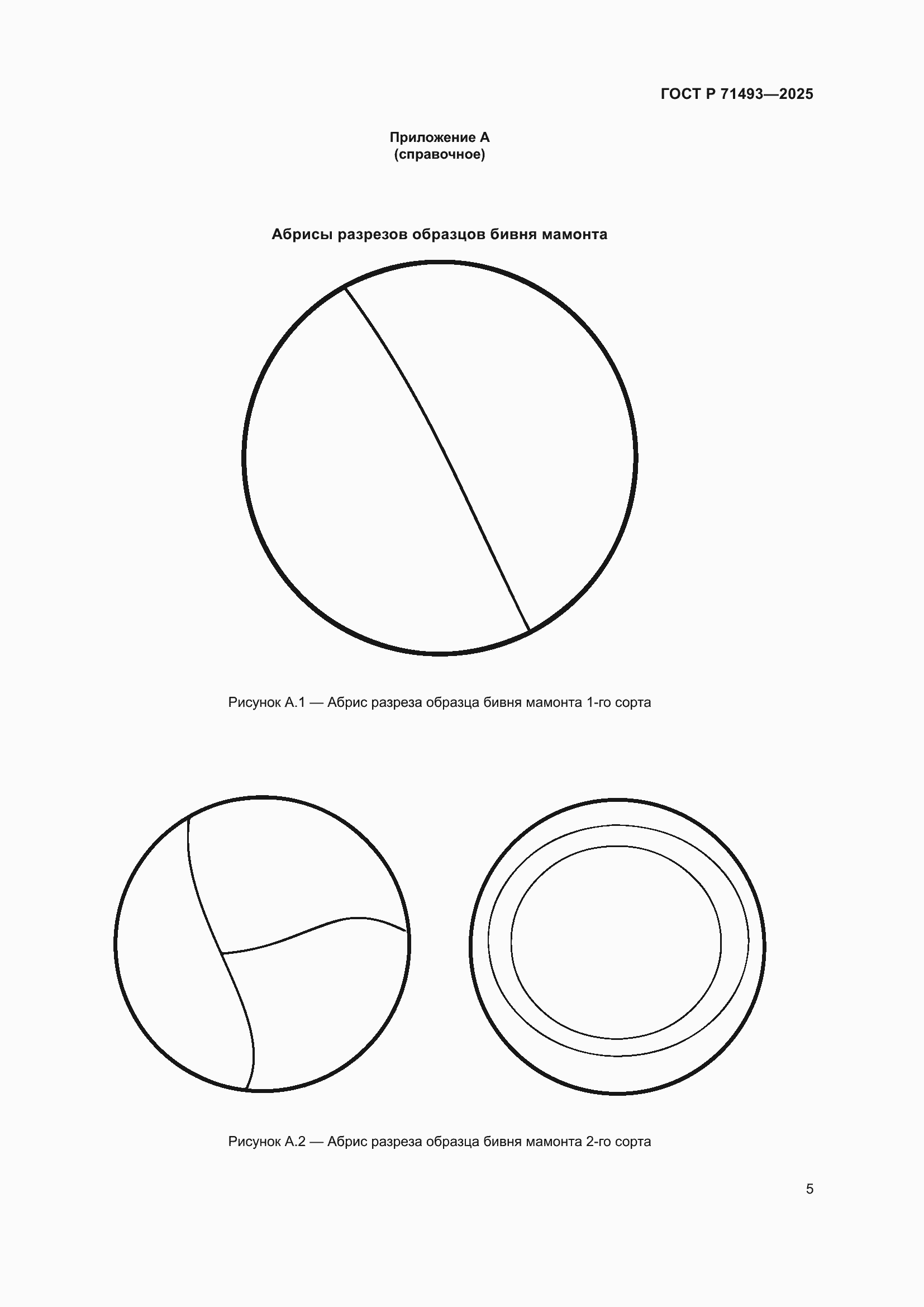 Страница 9 ГОСТ Р 71493-2025