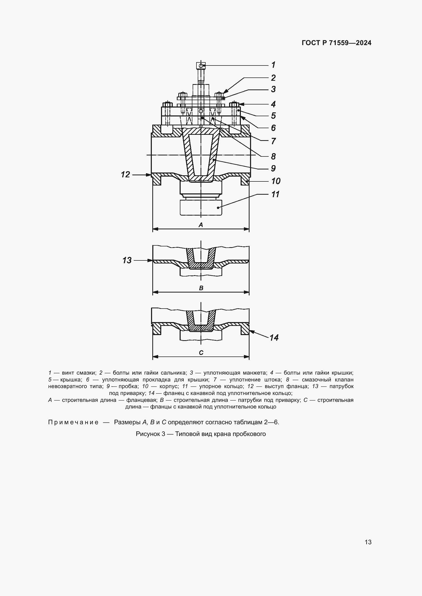 Страница 17 ГОСТ Р 71559-2024