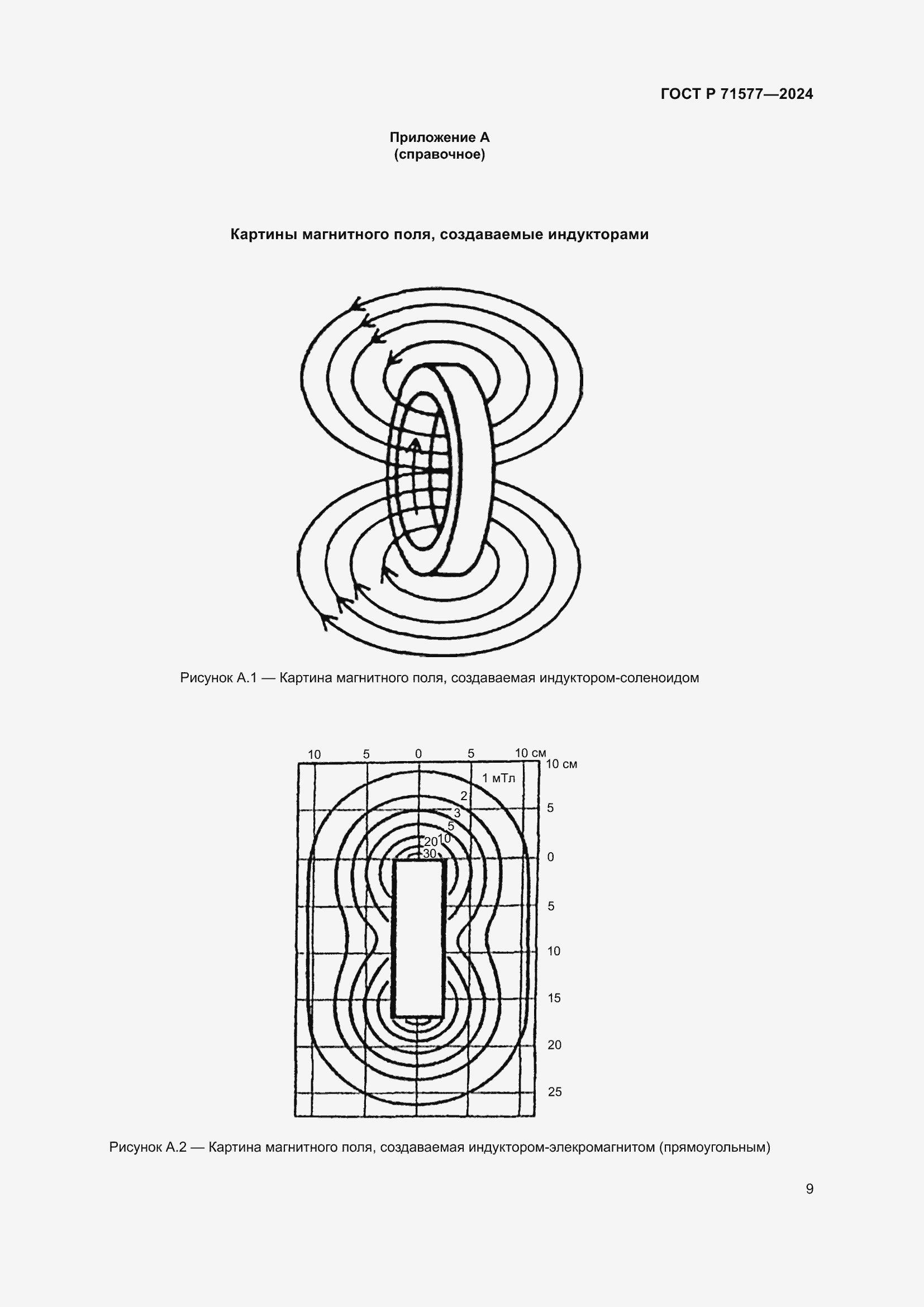 Страница 13 ГОСТ Р 71577-2024