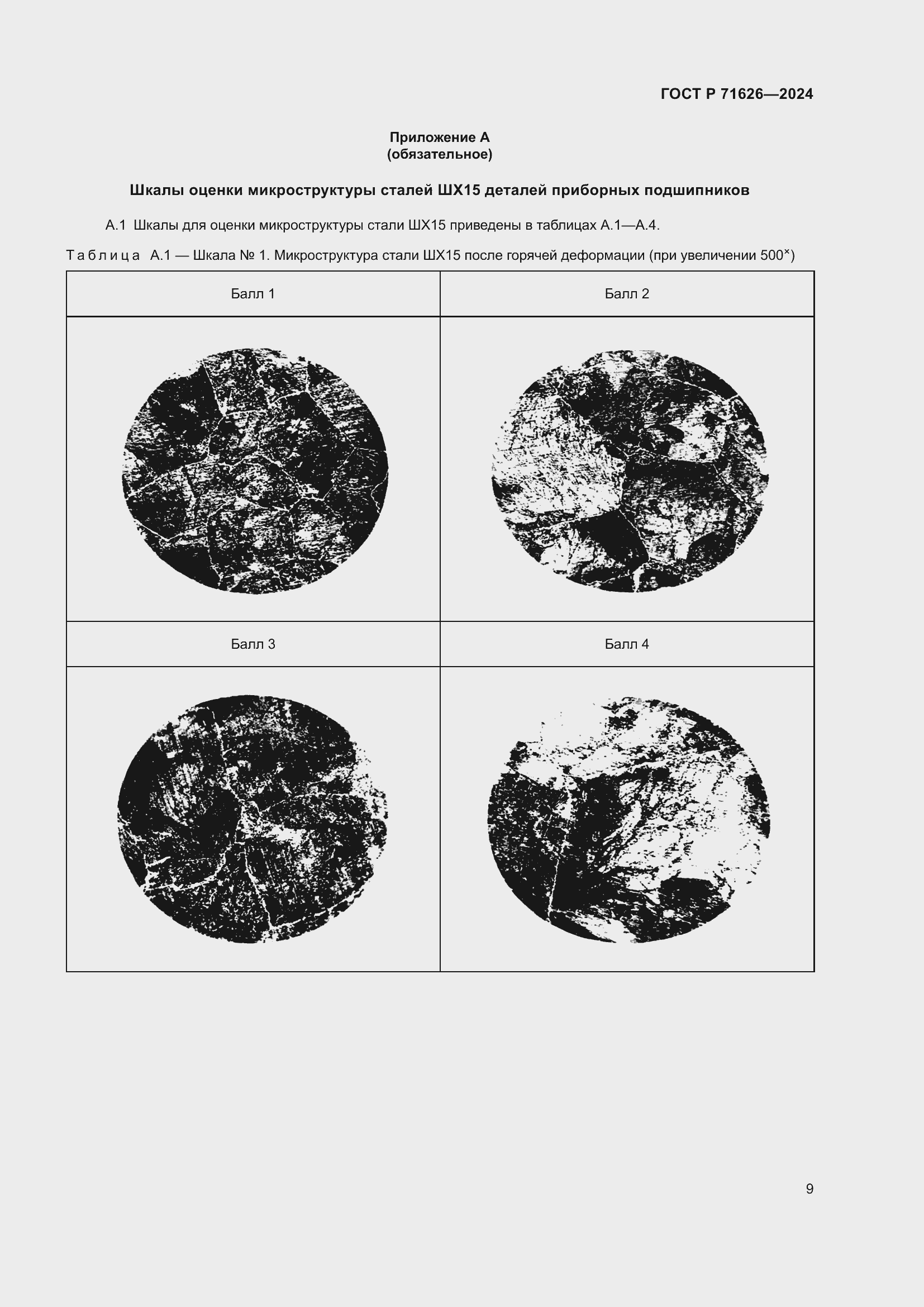 Страница 13 ГОСТ Р 71626-2024