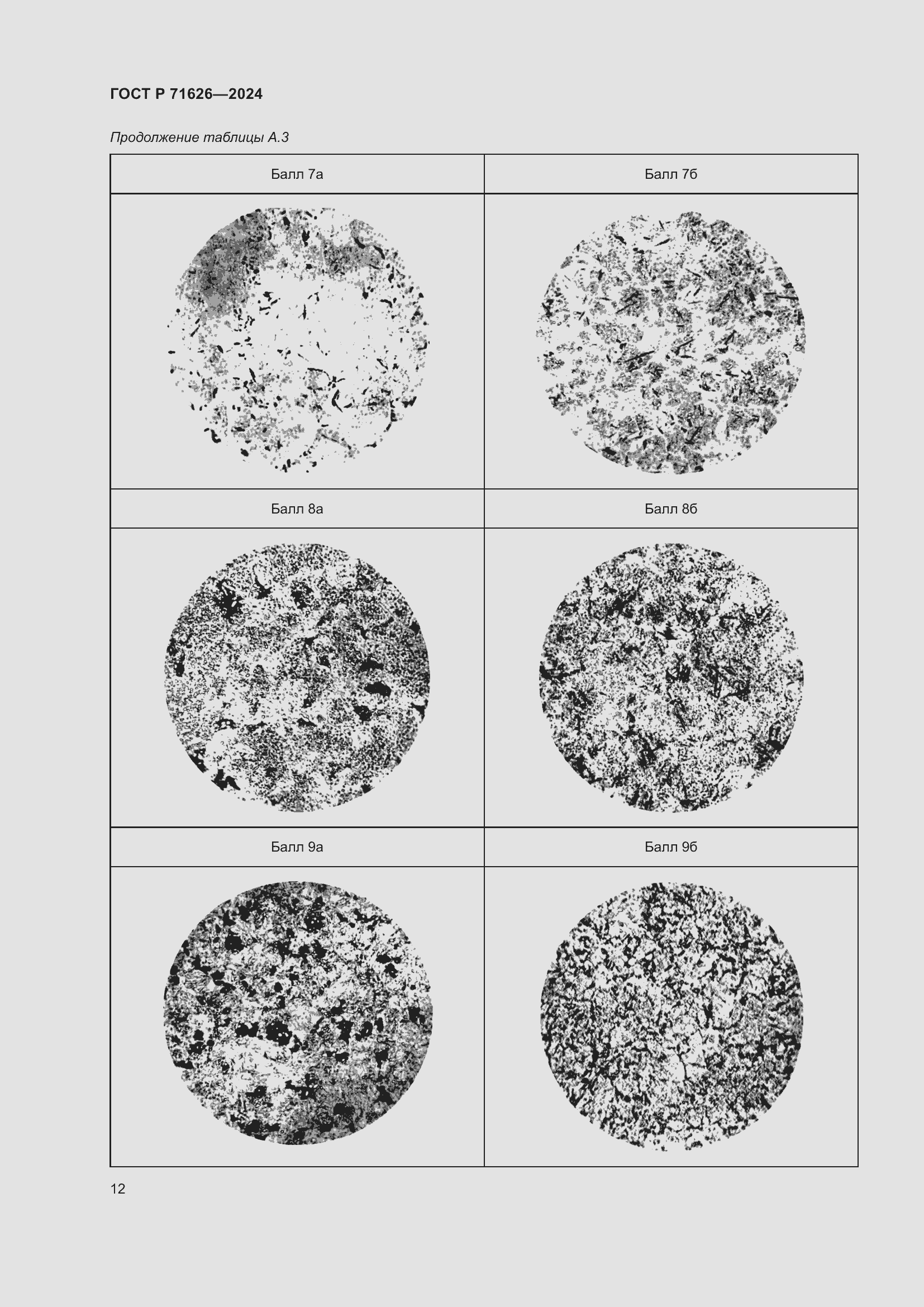 Страница 16 ГОСТ Р 71626-2024