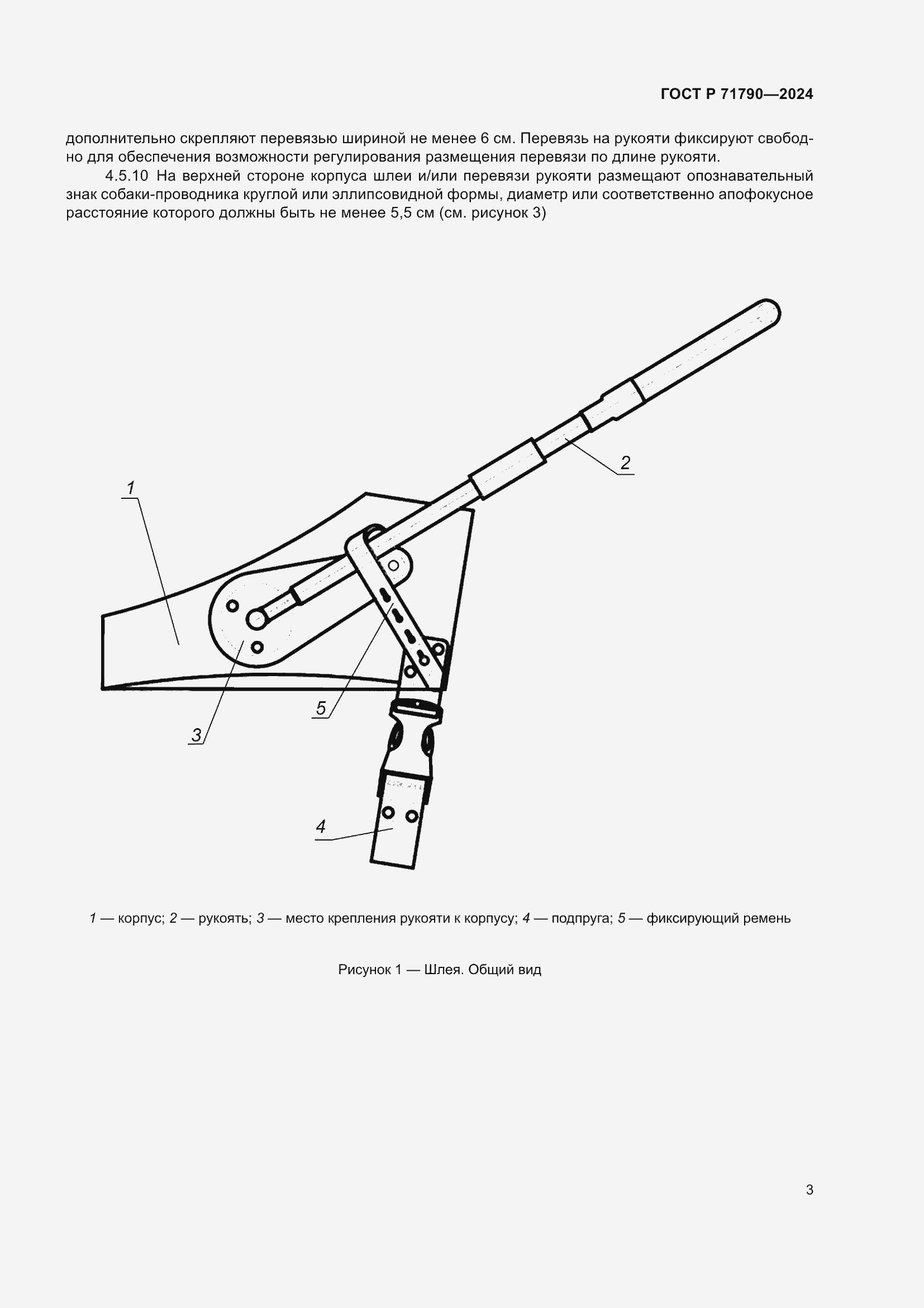 Страница 7 ГОСТ Р 71790-2024