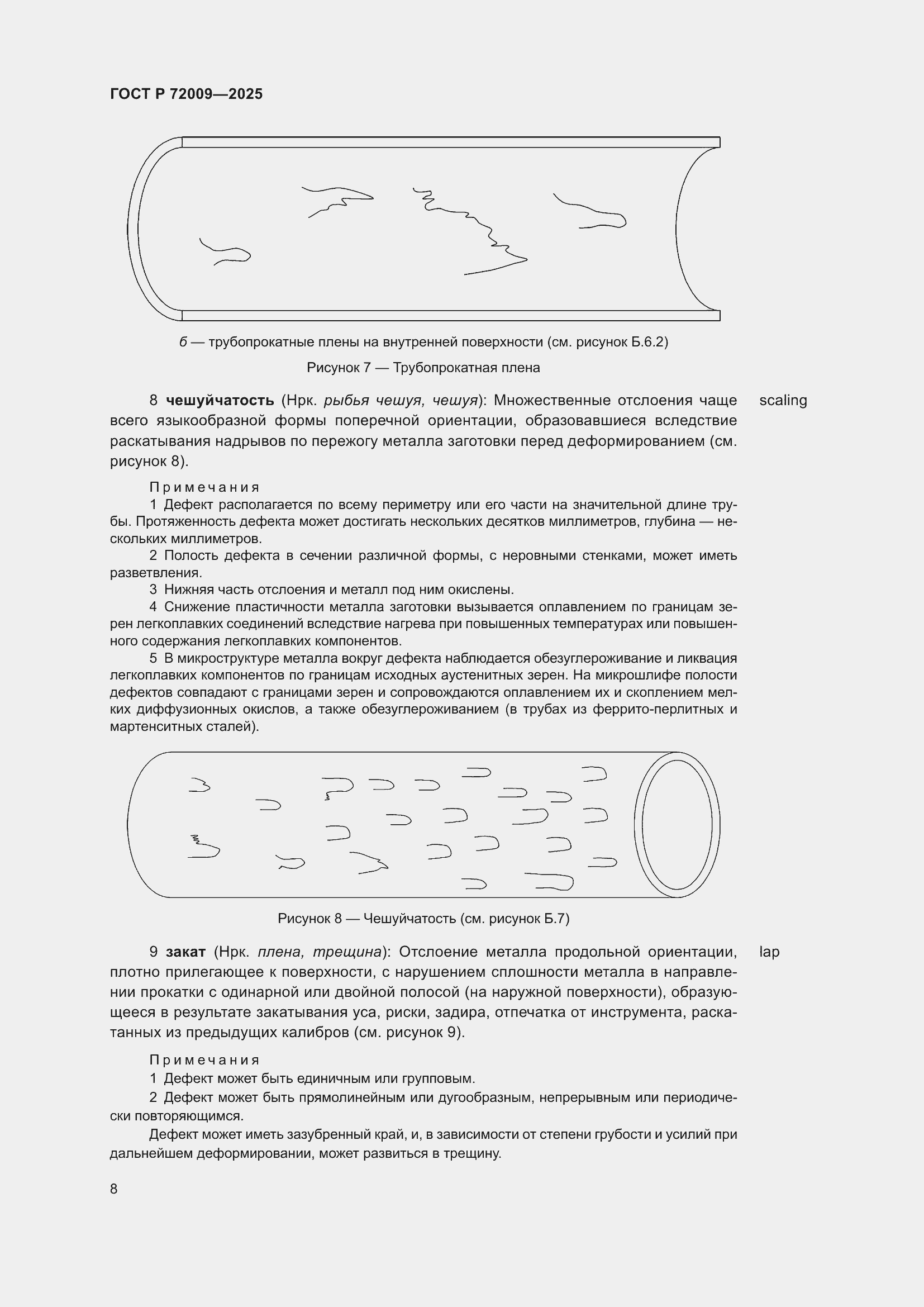 Страница 12 ГОСТ Р 72009-2025