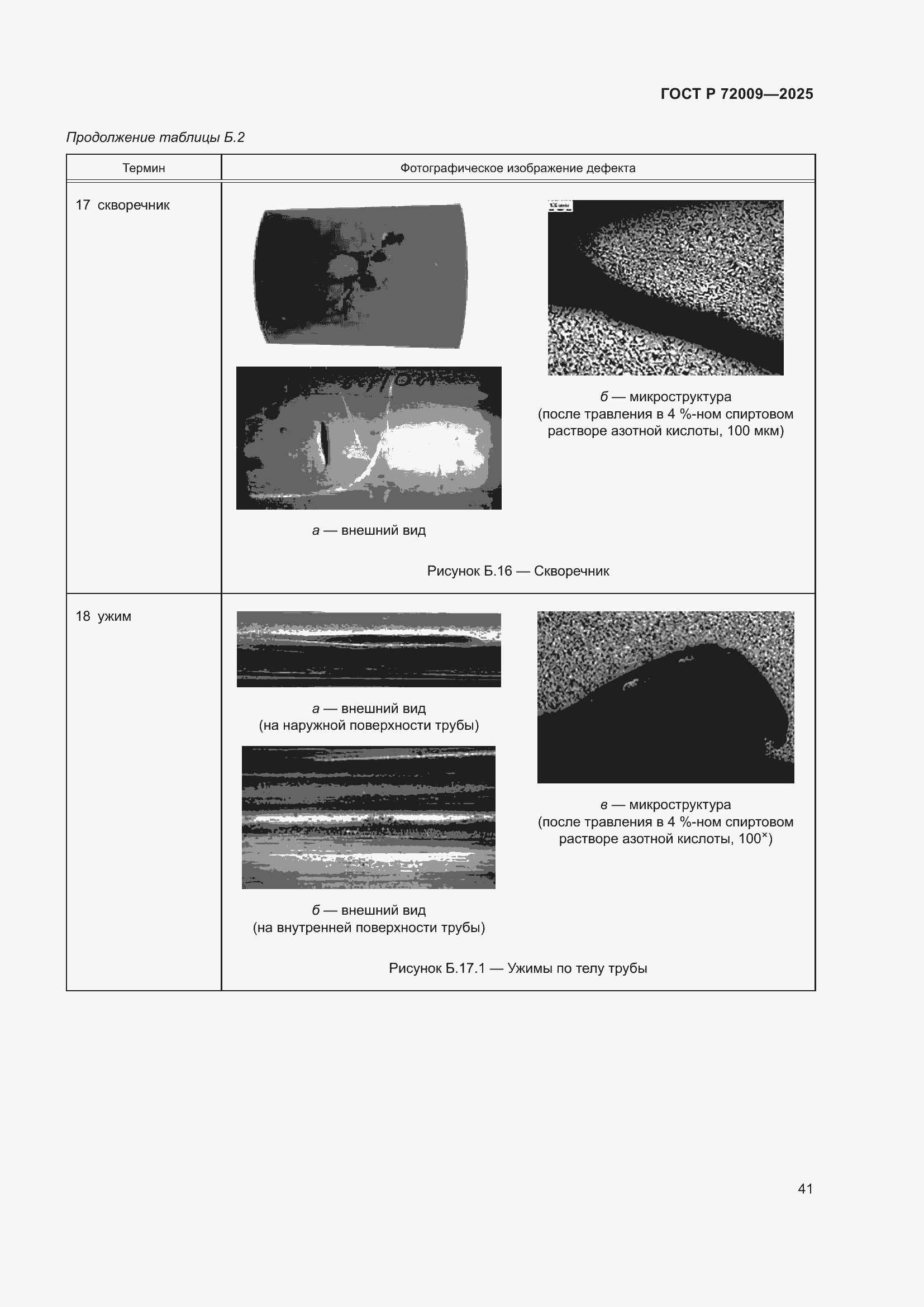 Страница 45 ГОСТ Р 72009-2025