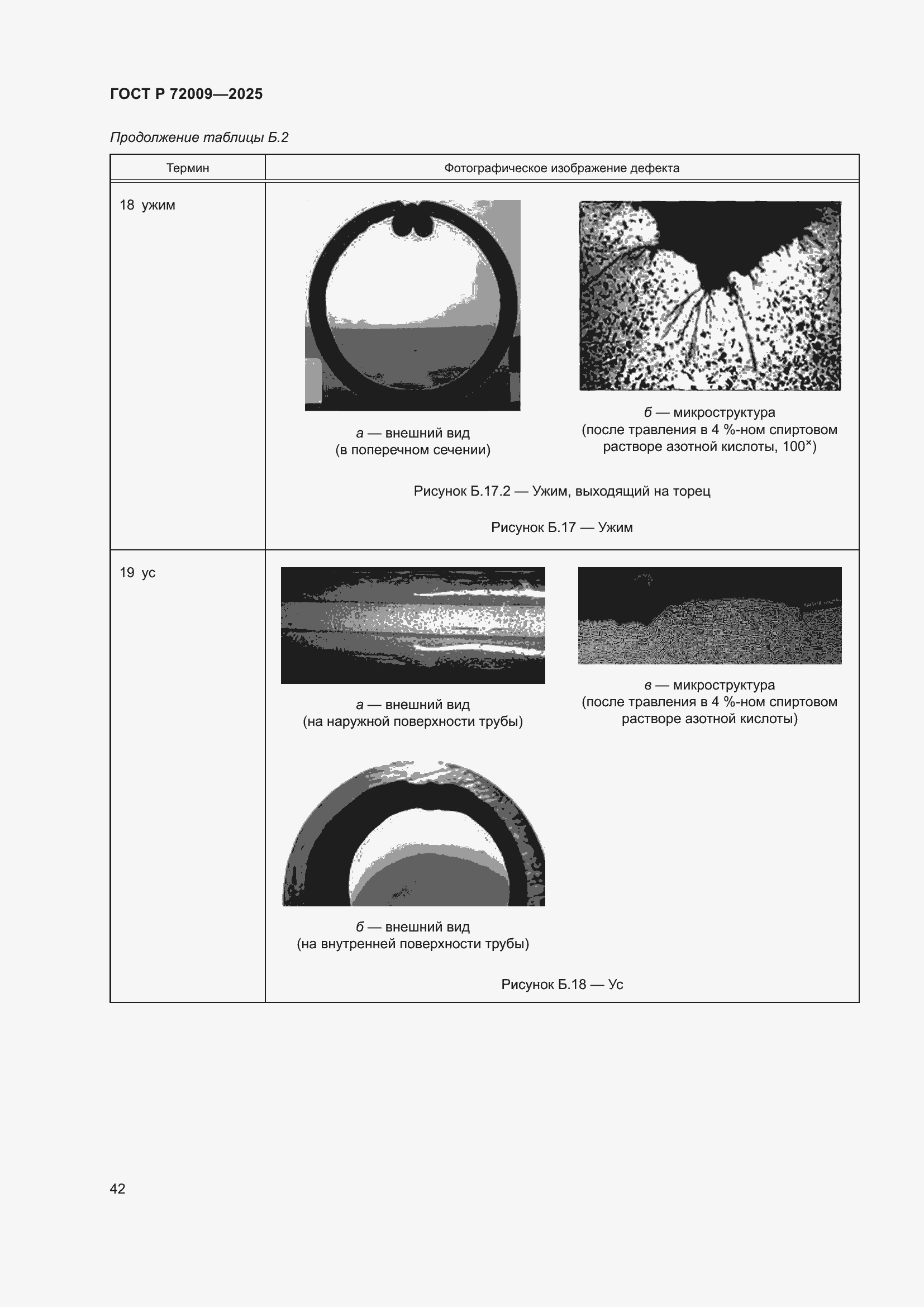 Страница 46 ГОСТ Р 72009-2025