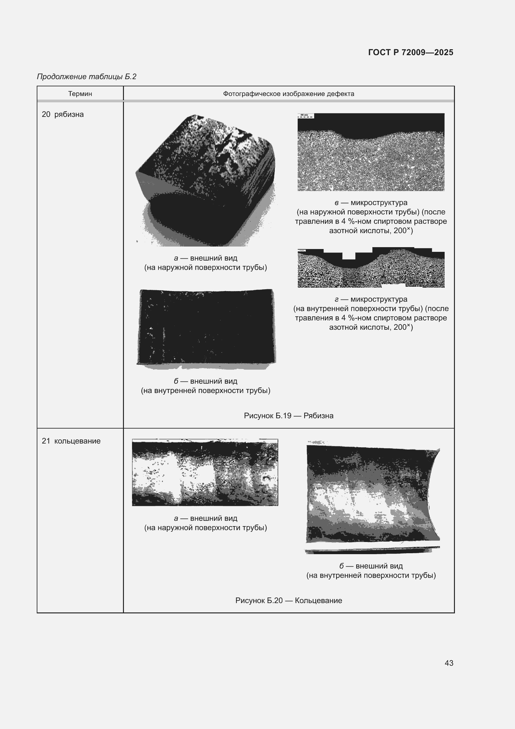 Страница 47 ГОСТ Р 72009-2025