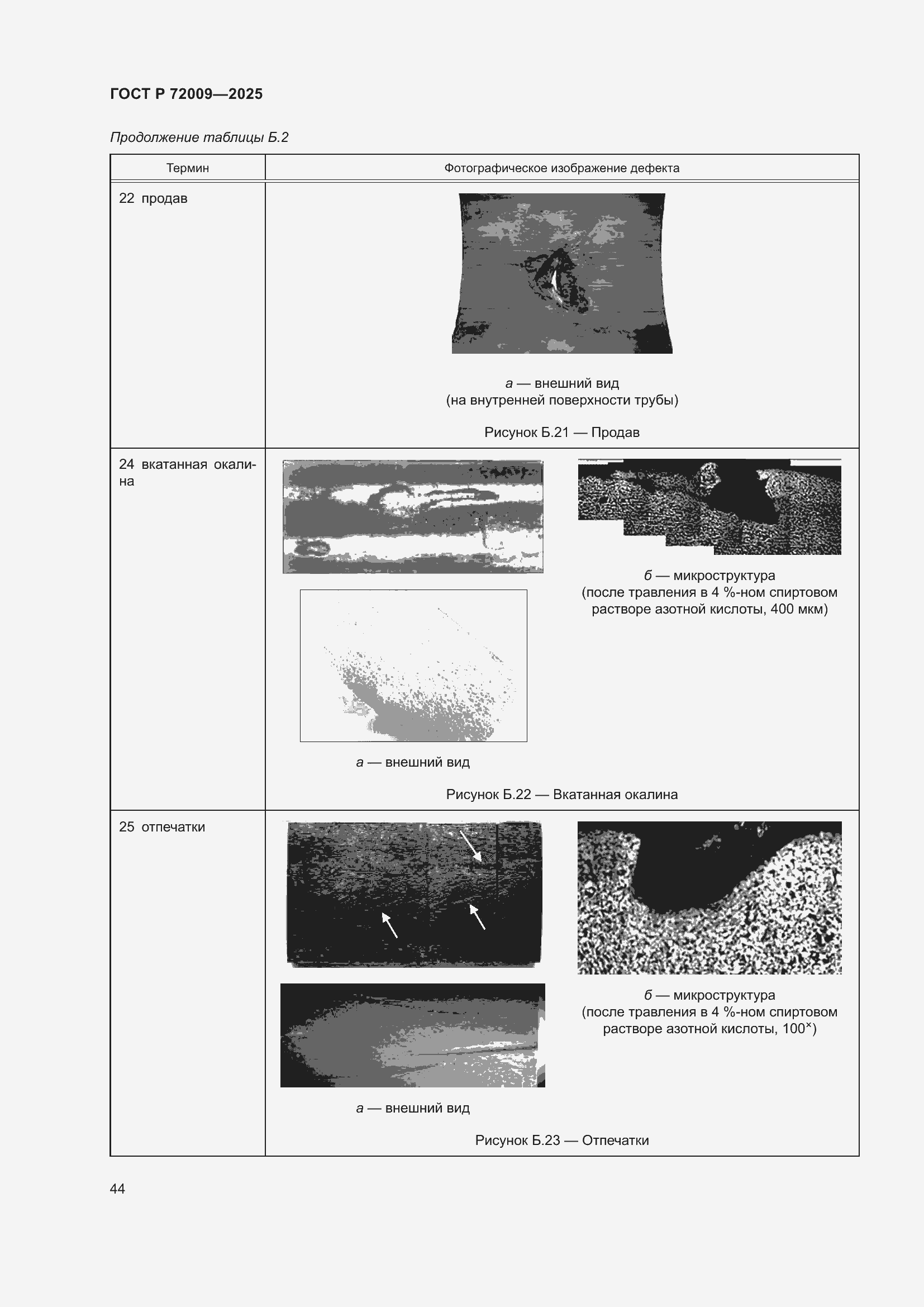 Страница 48 ГОСТ Р 72009-2025