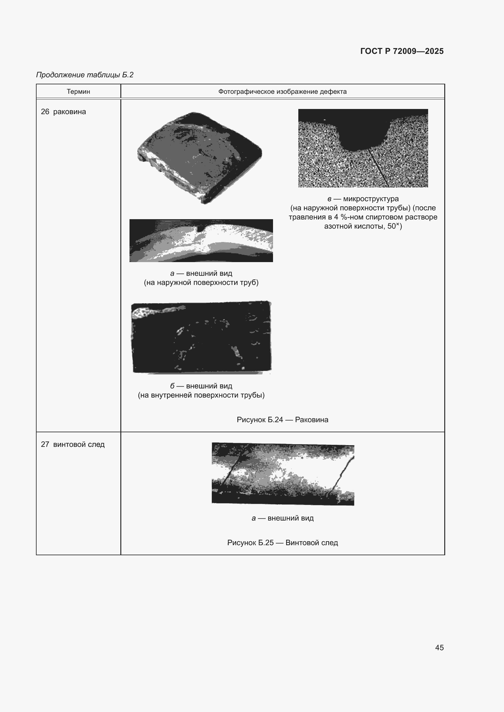Страница 49 ГОСТ Р 72009-2025