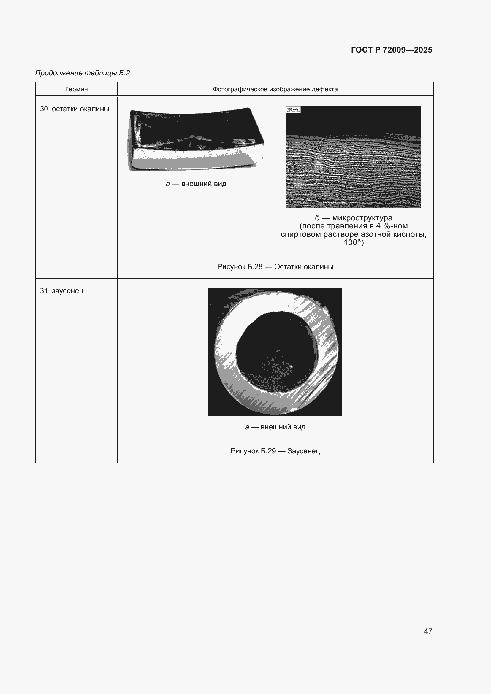 Страница 51 ГОСТ Р 72009-2025