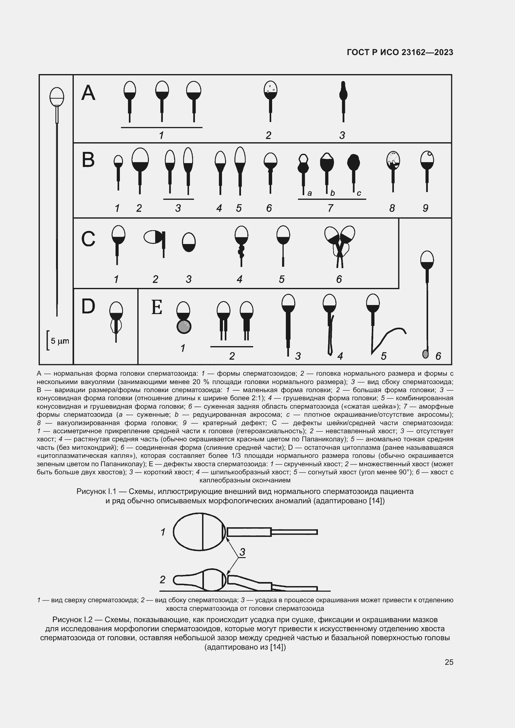 Страница 29 ГОСТ Р ИСО 23162-2023