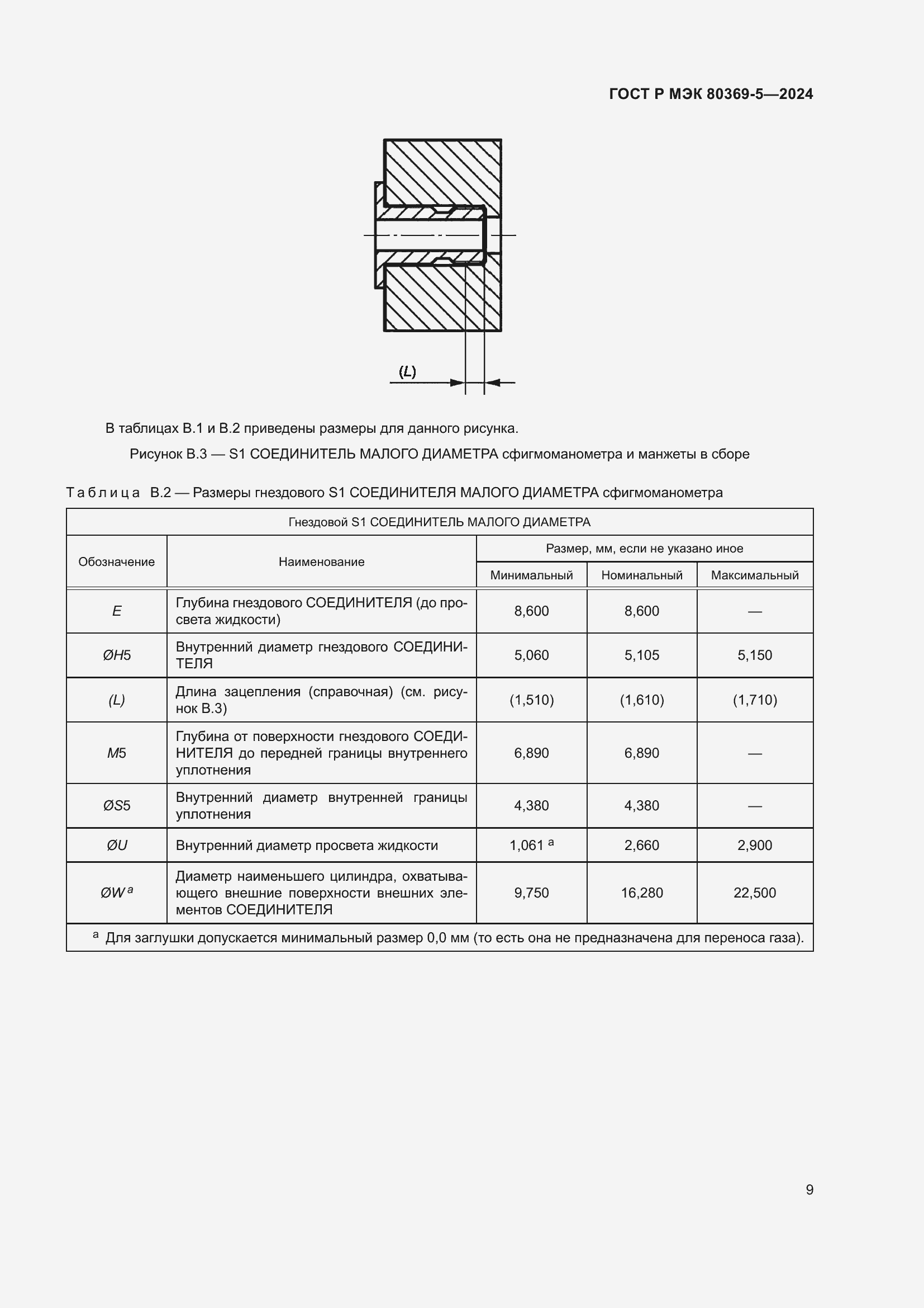 Страница 13 ГОСТ Р МЭК 80369-5-2024