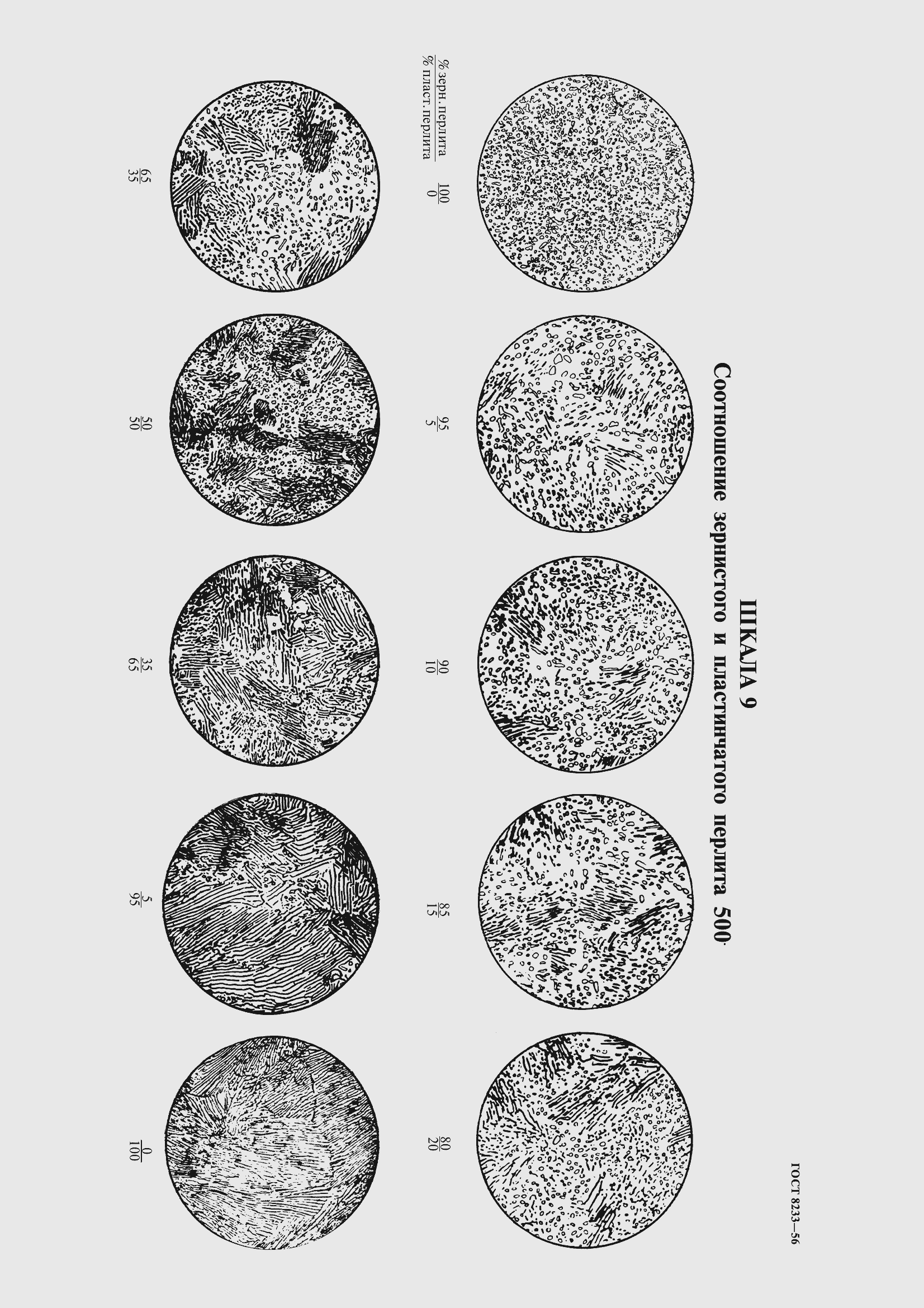 Страница 13 ГОСТ 8233-56