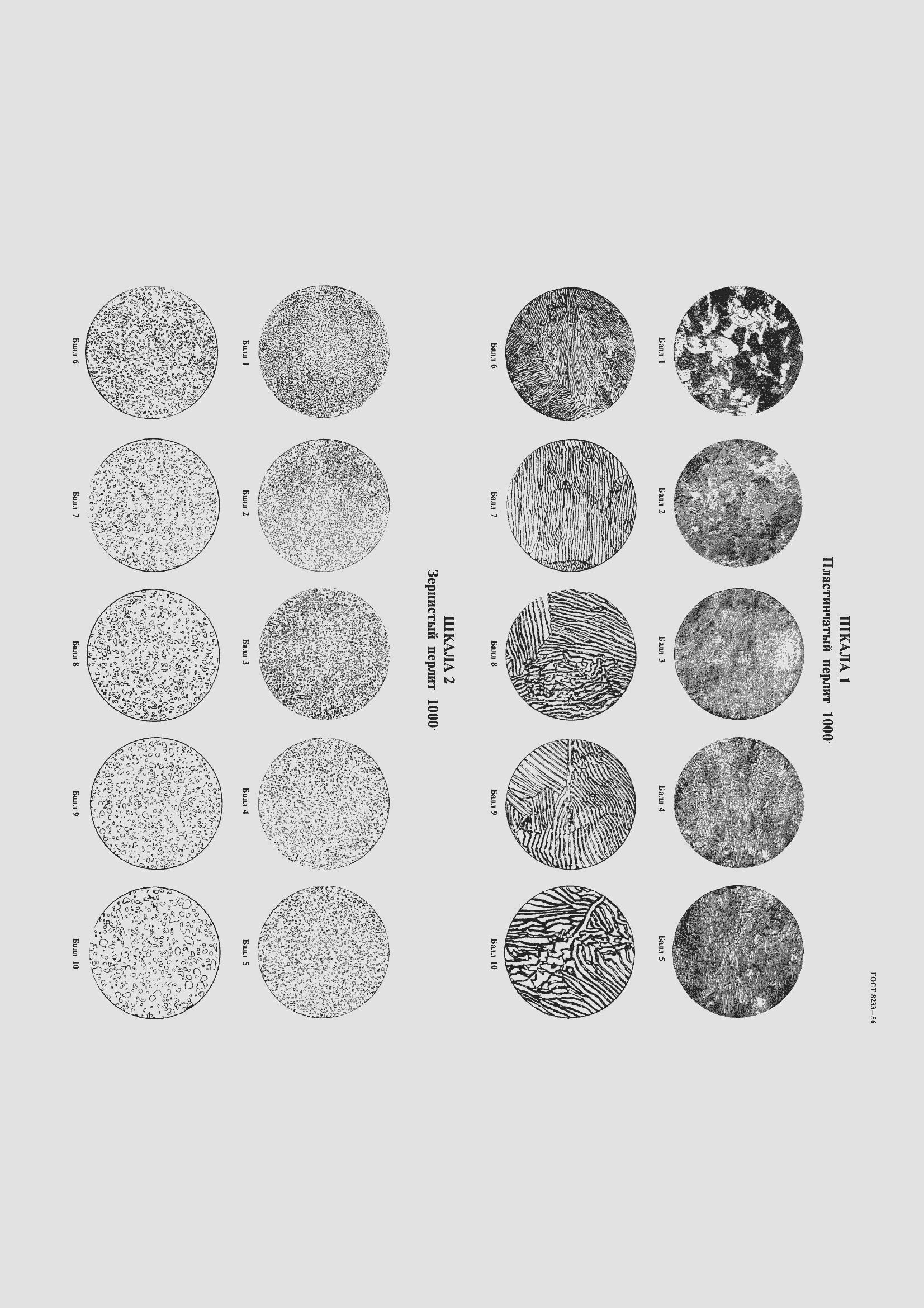 Страница 8 ГОСТ 8233-56