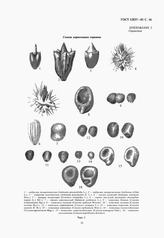 Страница 17 ГОСТ 12037-81