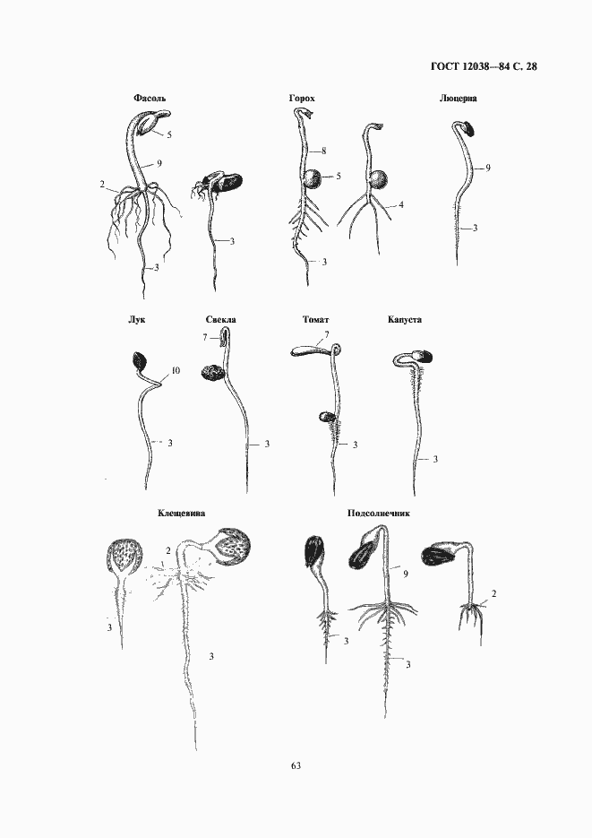 Страница 30 ГОСТ 12038-84