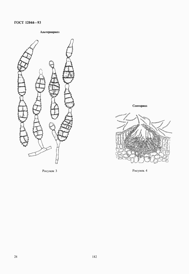 Страница 31 ГОСТ 12044-93