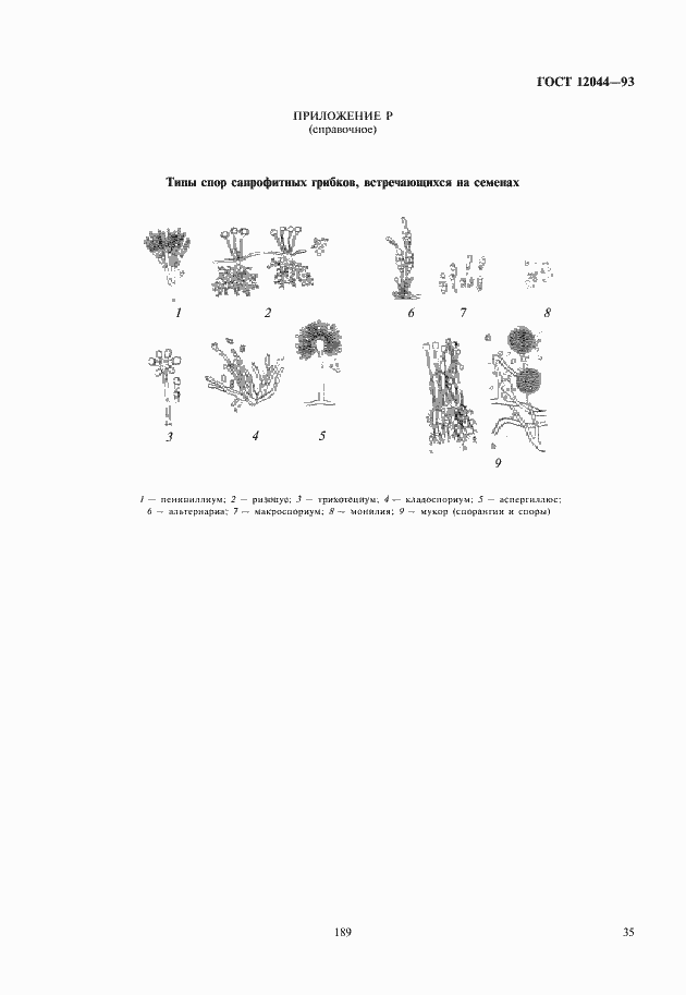 Страница 38 ГОСТ 12044-93