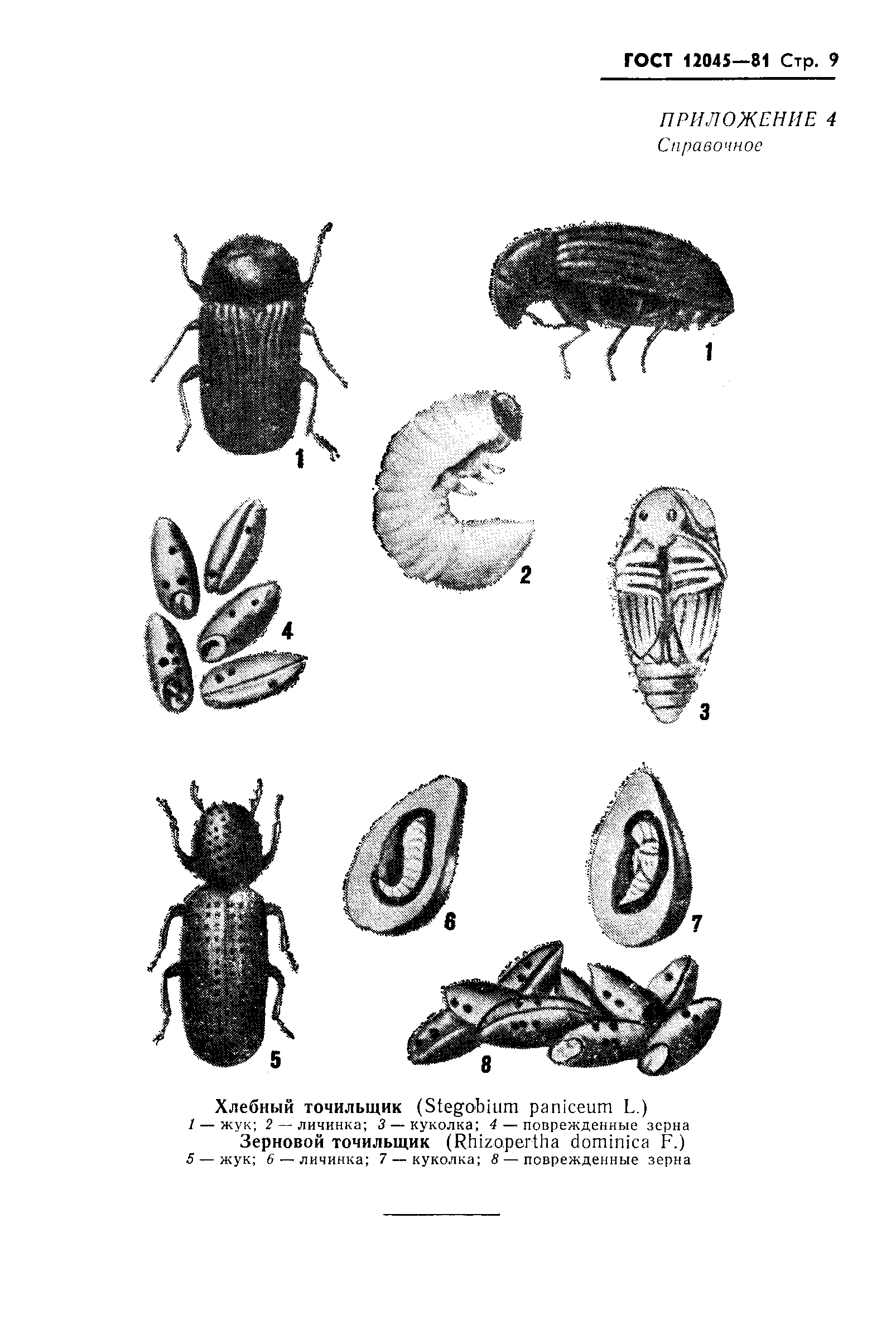 Страница 10 ГОСТ 12045-81