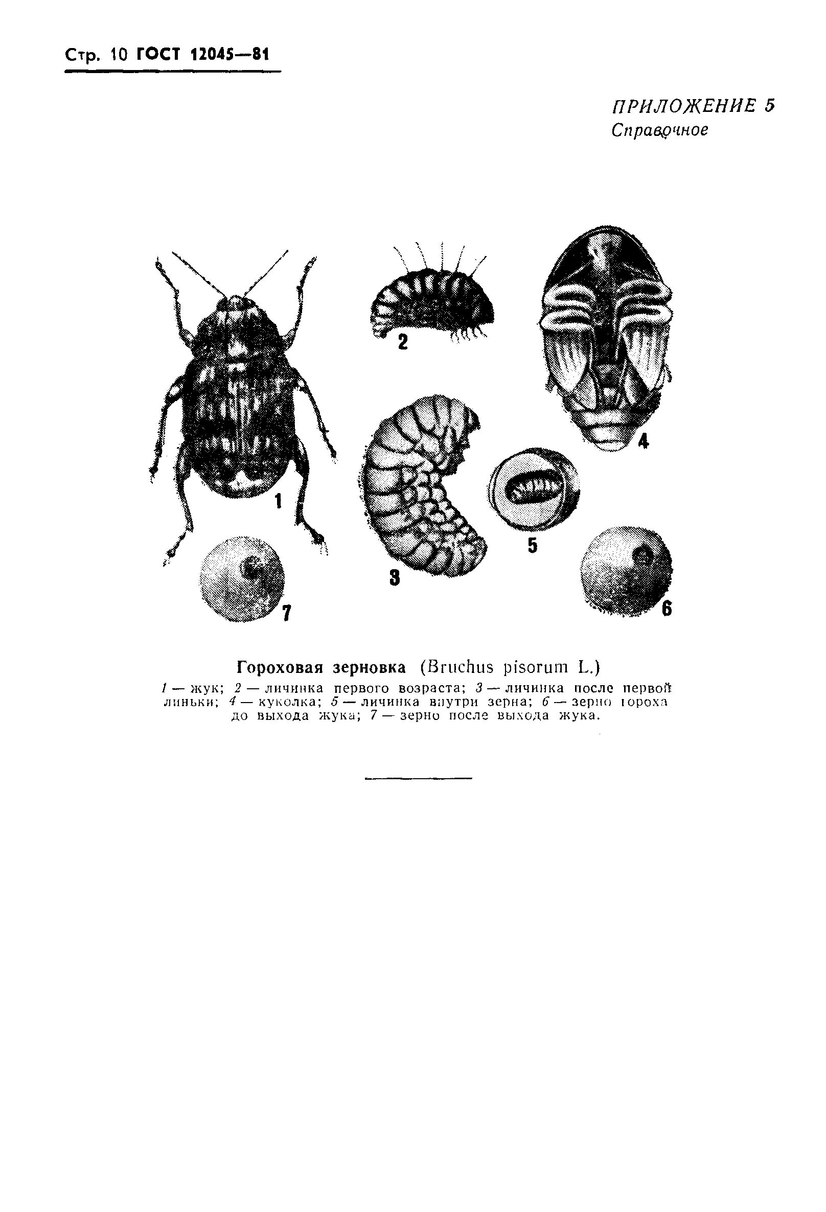 Страница 11 ГОСТ 12045-81