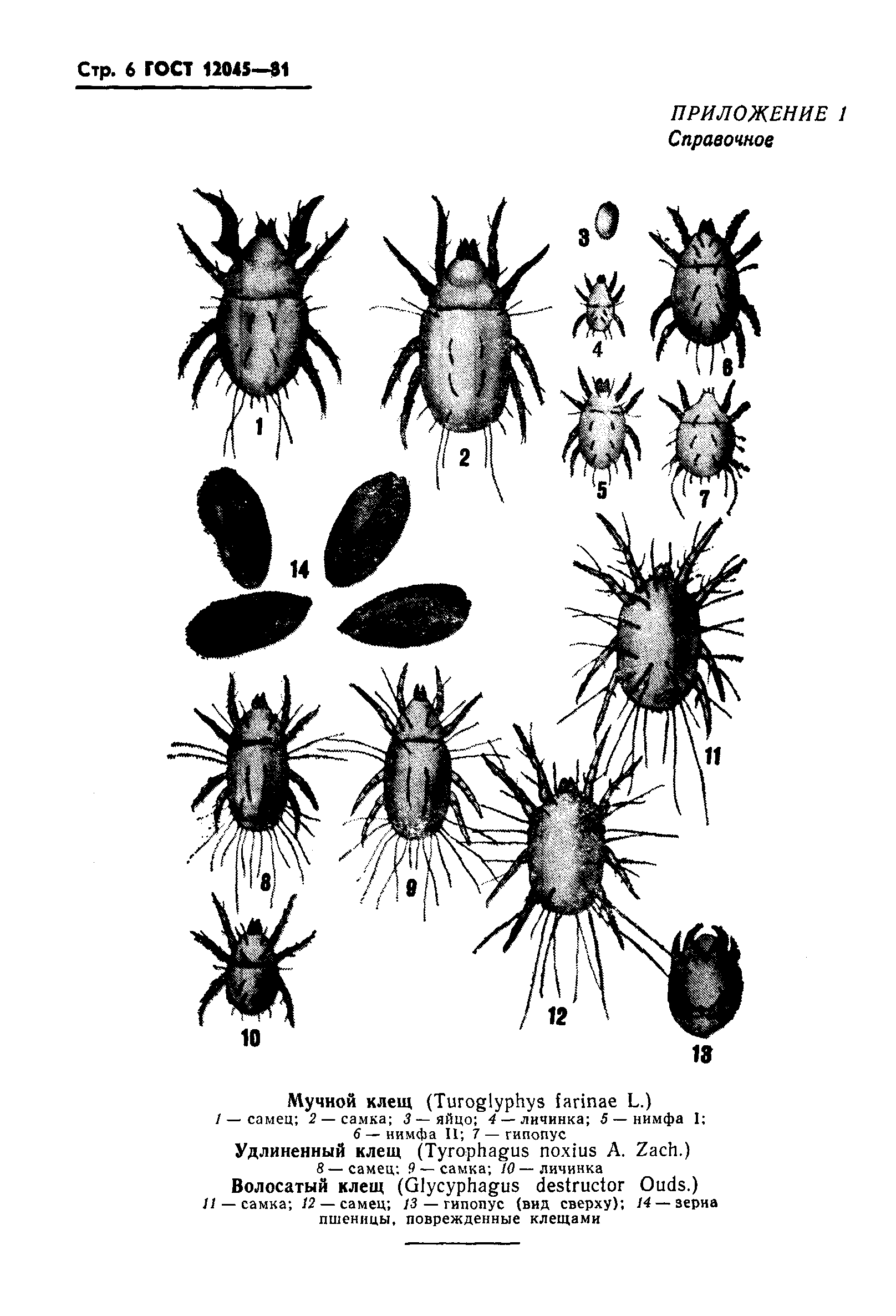 Страница 7 ГОСТ 12045-81