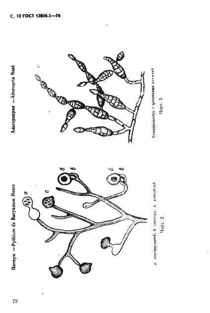 Страница 10 ГОСТ 13056.5-76