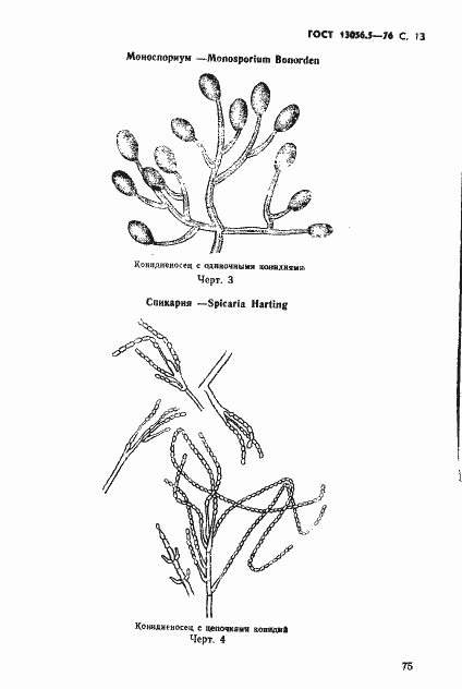 Страница 13 ГОСТ 13056.5-76