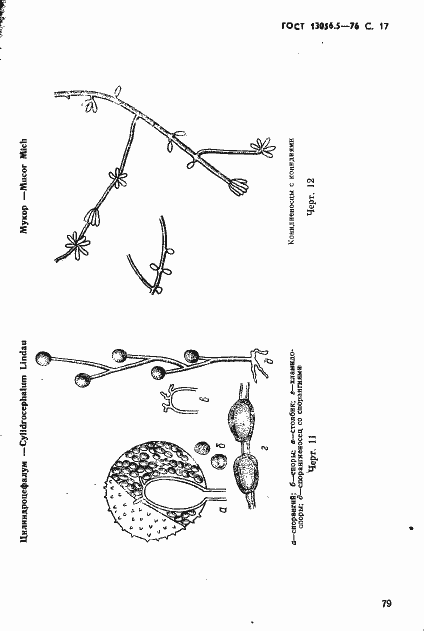 Страница 17 ГОСТ 13056.5-76