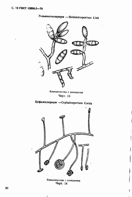 Страница 18 ГОСТ 13056.5-76