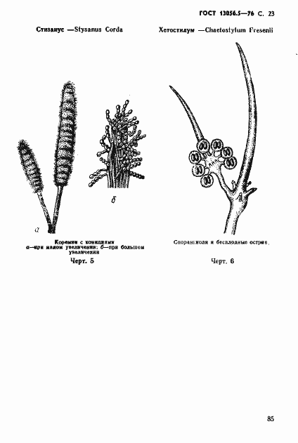 Страница 23 ГОСТ 13056.5-76