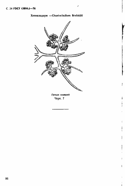 Страница 24 ГОСТ 13056.5-76