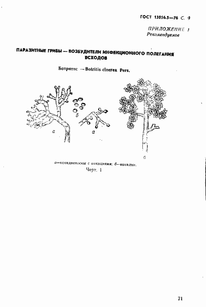 Страница 9 ГОСТ 13056.5-76