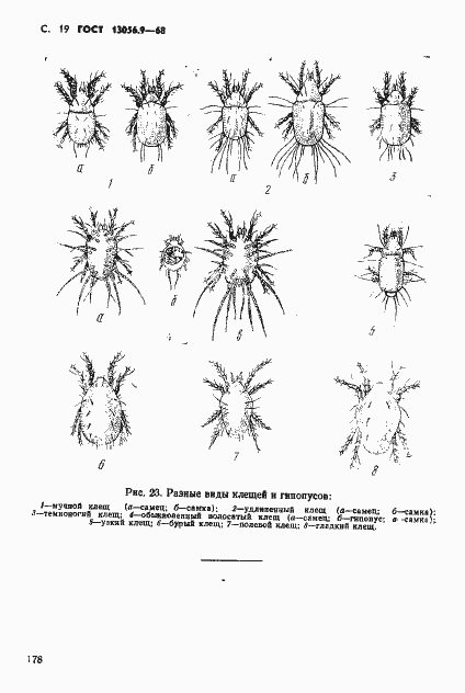Страница 19 ГОСТ 13056.9-68
