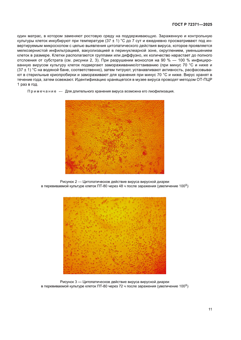 Страница 15 ГОСТ Р 72371-2025