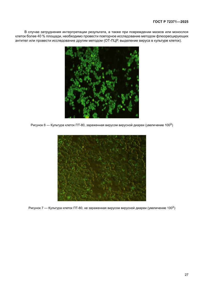 Страница 31 ГОСТ Р 72371-2025