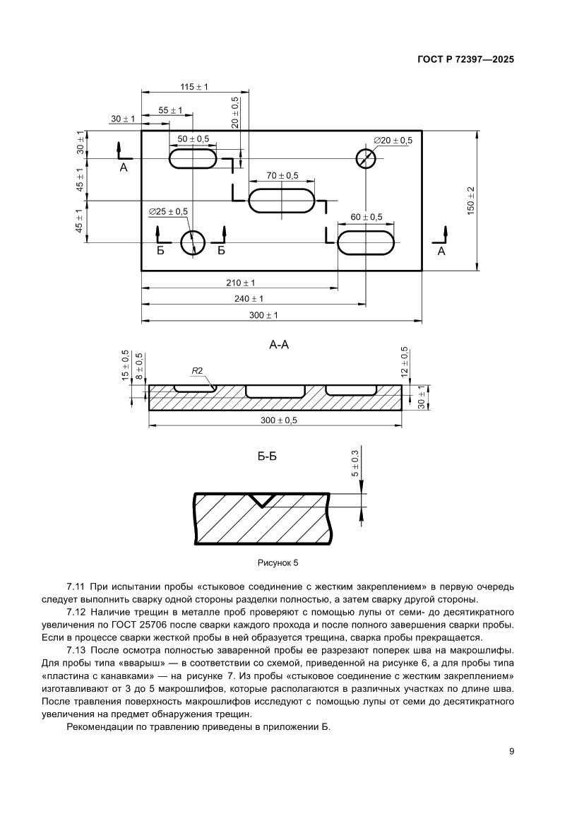 Страница 13 ГОСТ Р 72397-2025