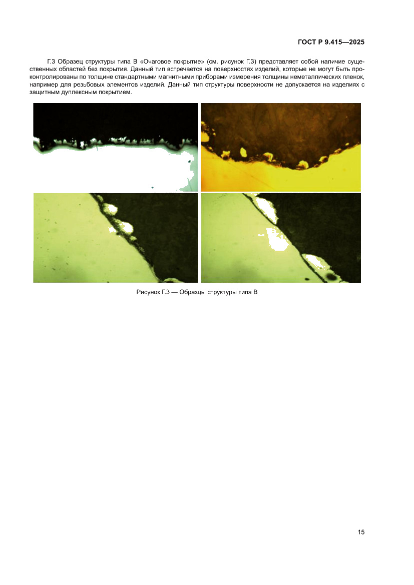 Страница 19 ГОСТ Р 9.415-2025