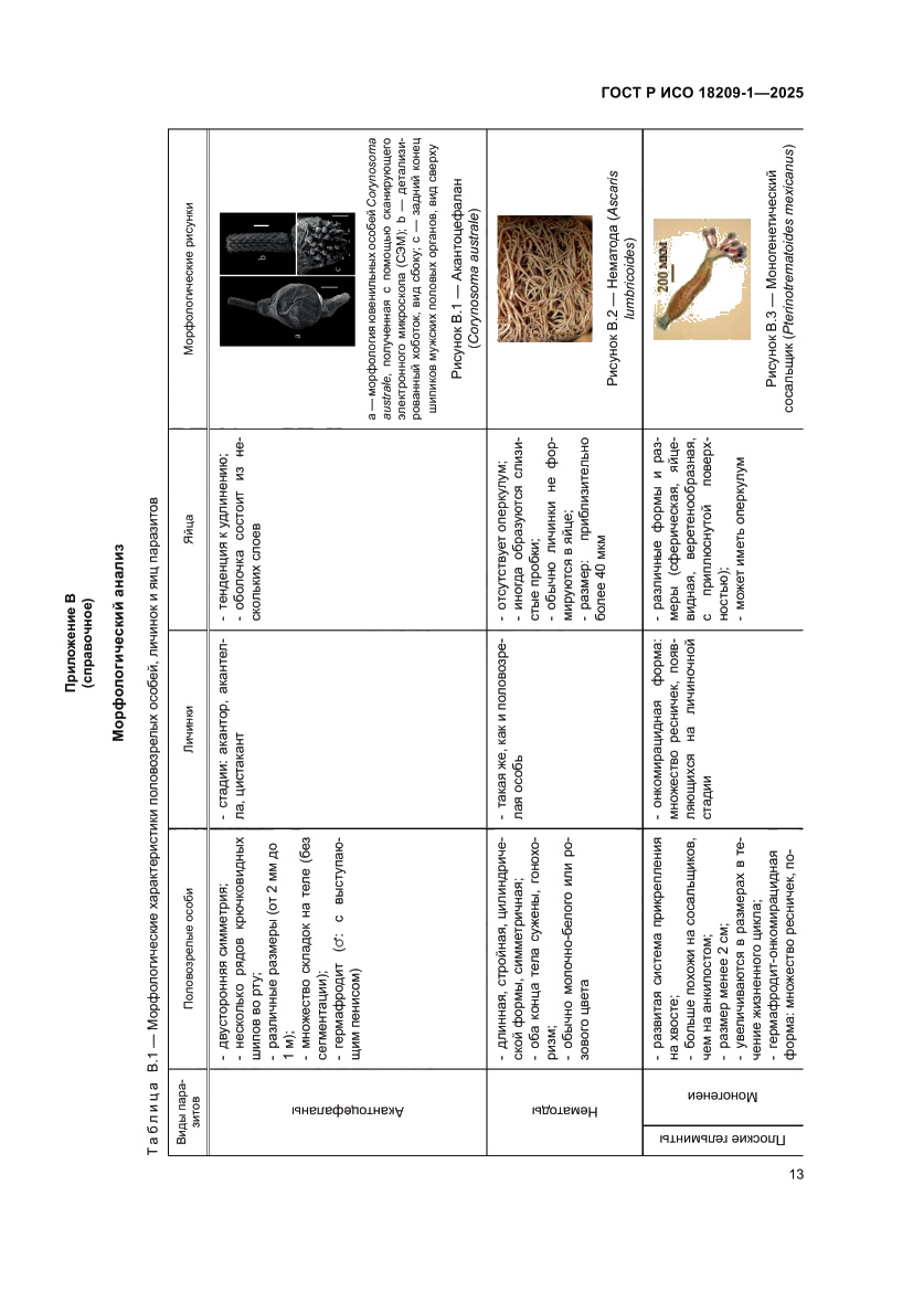 Страница 17 ГОСТ Р ИСО 18209-1-2025