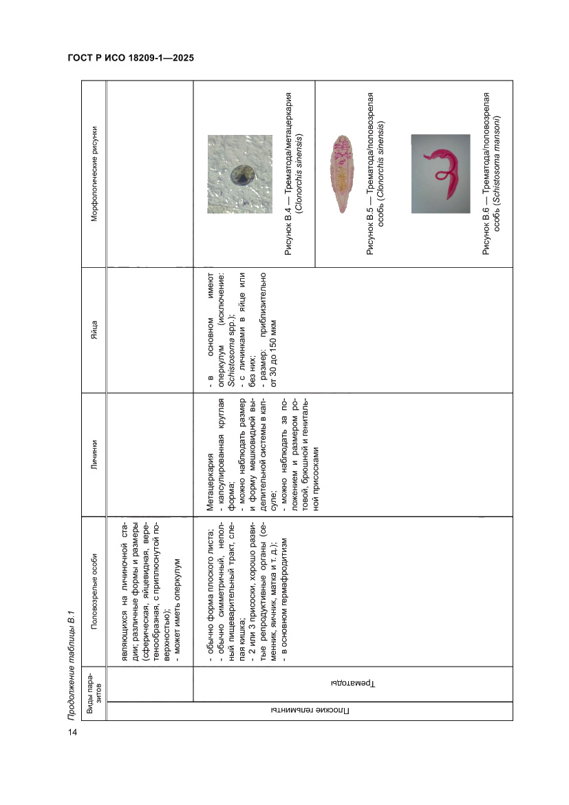 Страница 18 ГОСТ Р ИСО 18209-1-2025
