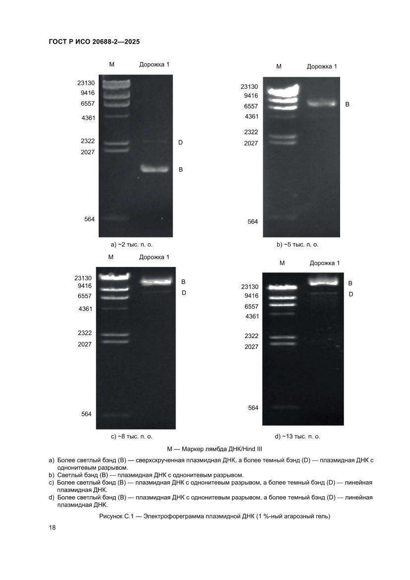 Страница 22 ГОСТ Р ИСО 20688-2-2025