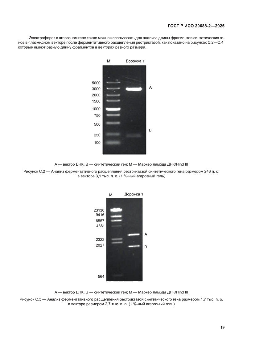 Страница 23 ГОСТ Р ИСО 20688-2-2025