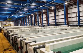 участок анодирования алюминия на гальваническом производстве