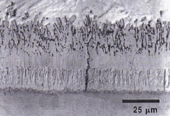 эффект оцинкования деталей под электронным микроскопом