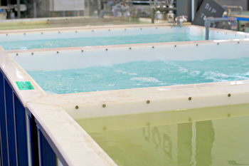 пассивирование металла может быть чисто химическим или электрохимическим